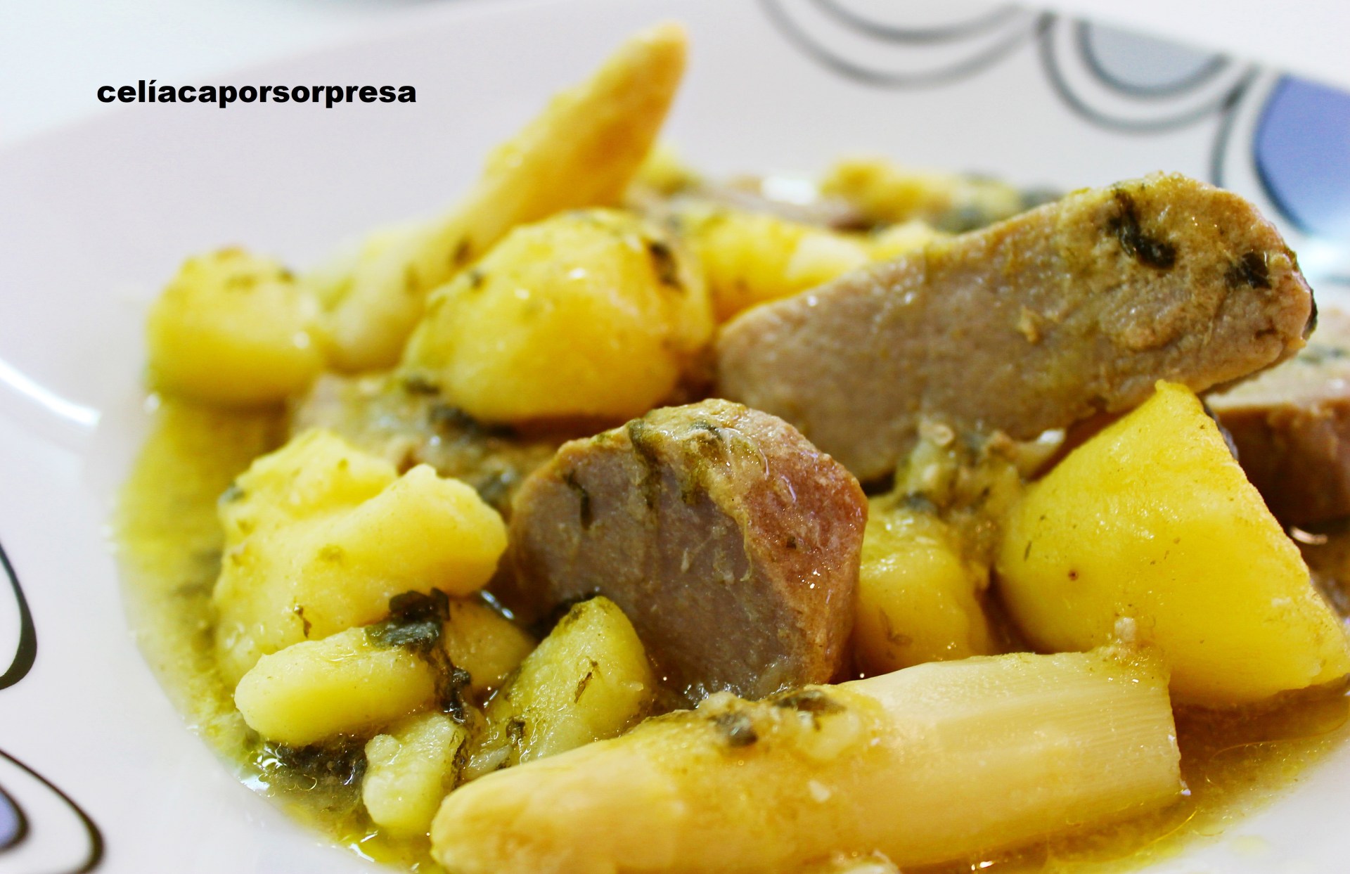 atun-con-patatas-en-salsa-verde-de-cerca