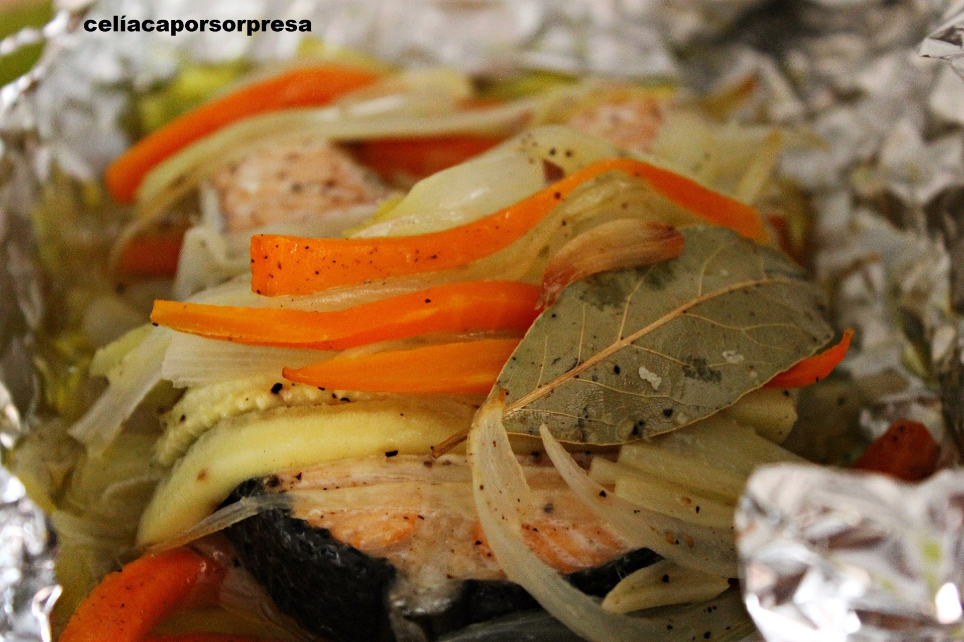 salmon-papillote-de-cerca