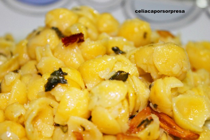 conchiliette al aglio e olio1