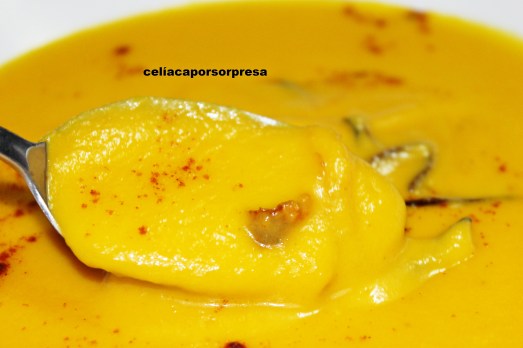 crema de zanahoria6