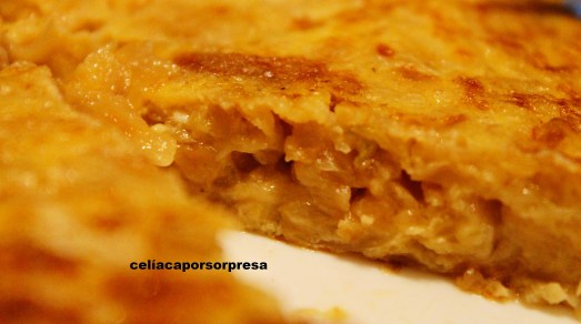 tortilla de cebolla3