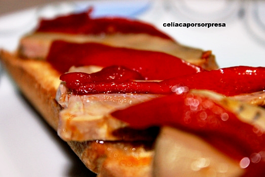 tosta-de-atun-pasteurizado-de-cerca