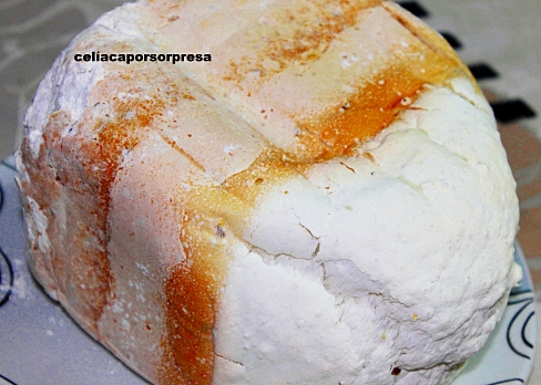 pan-con-semillas-desde-arriba