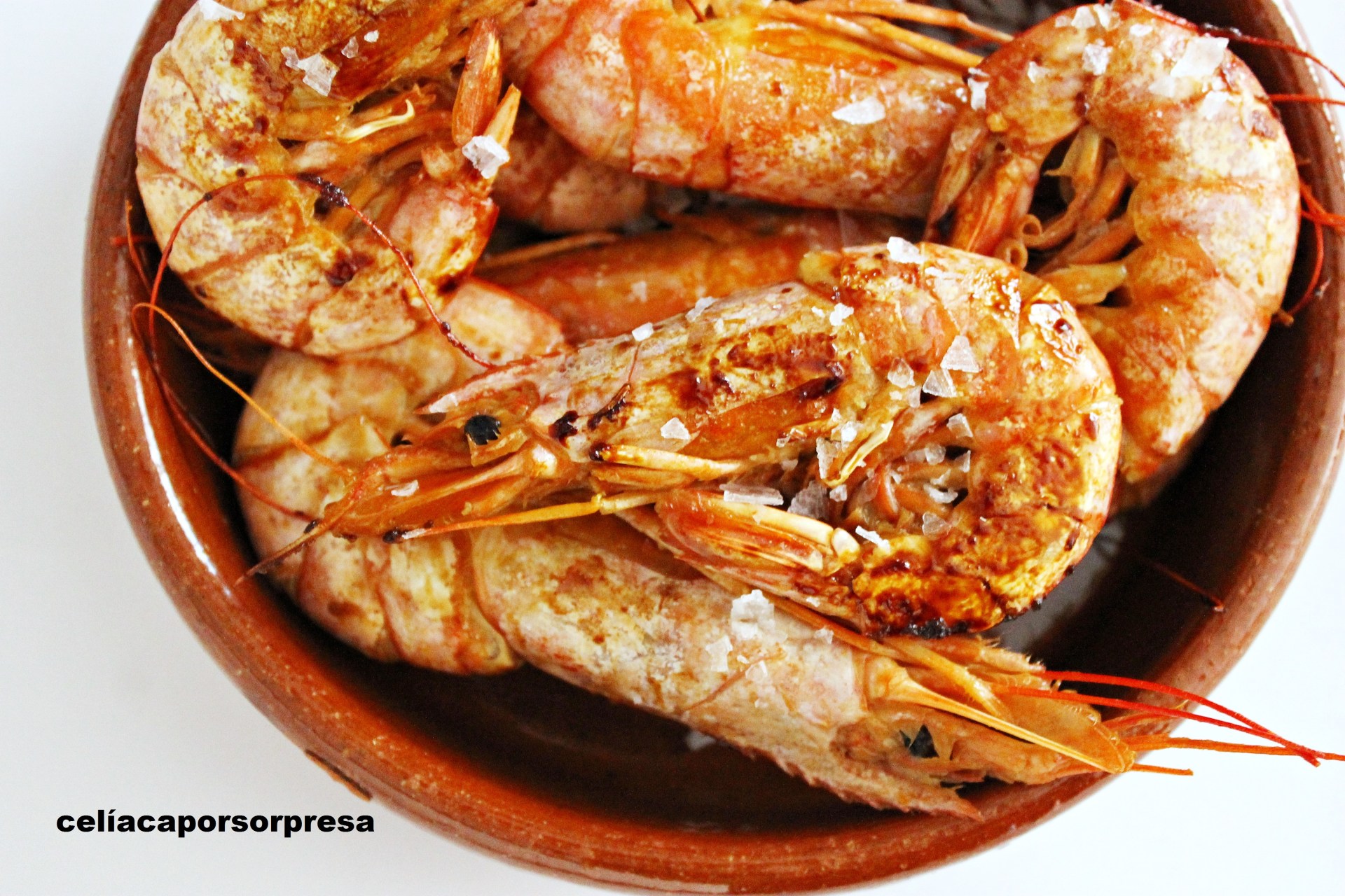 gambones-al-vino-de-cerca