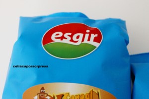 esgir-logo
