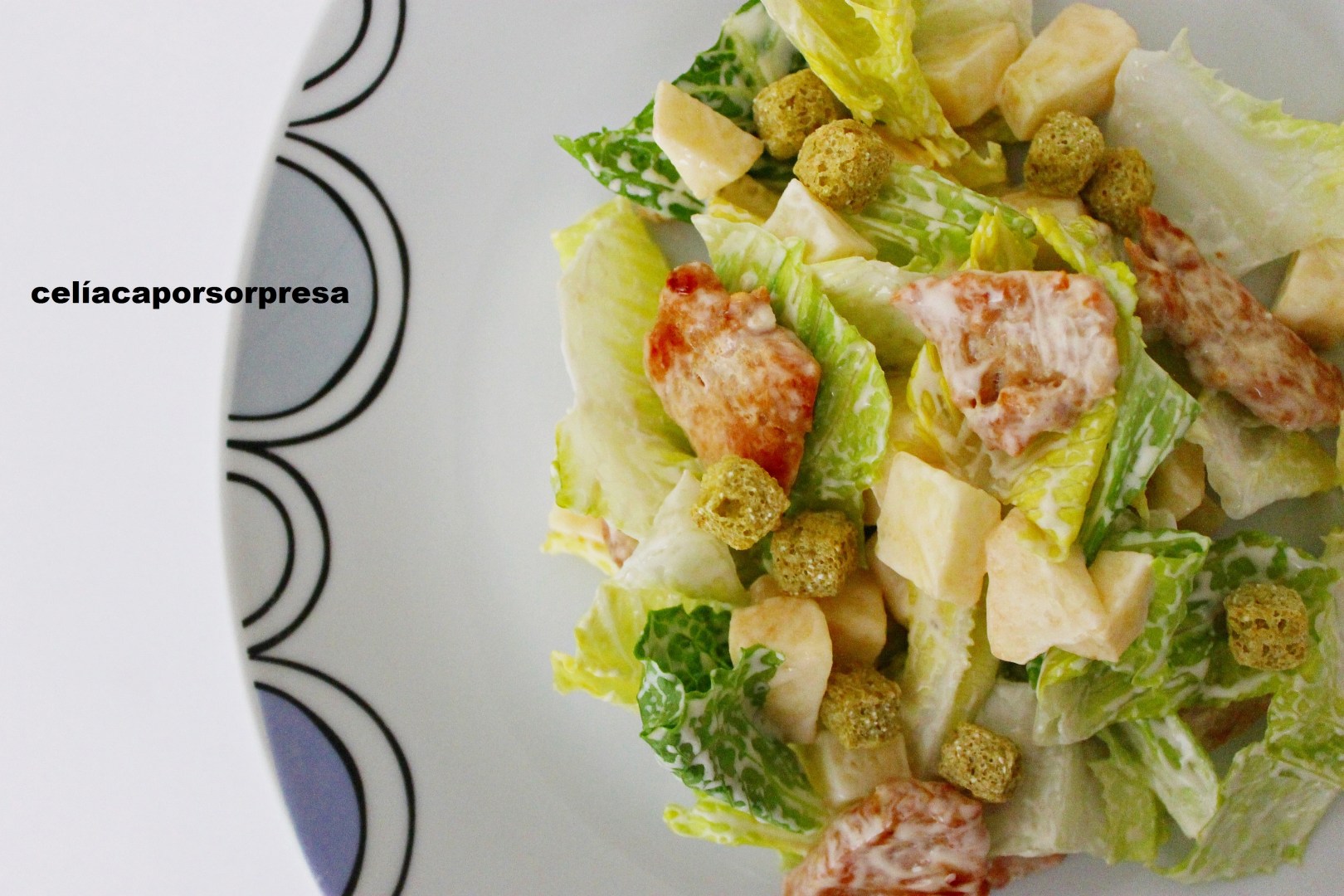 ensalada-cesar-con-pavo-a-la-plancha-de-lado