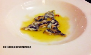 cal-paradis-cocochas