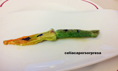 cal-paradis-flor-de-calabacin