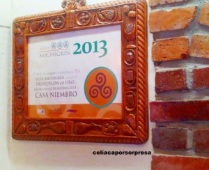 casa-niembro-michigrin