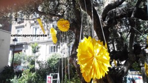 picnic-schar-decoracion