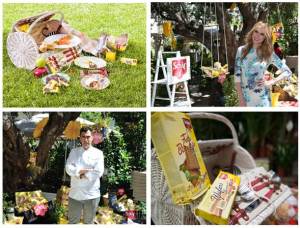 picnic-schar-resumen