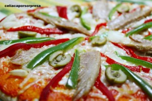 pizza-de-ventresca-con-pimiento-zoom-de-cerca