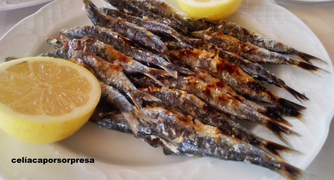 espetos-de-sardinas-santa-ana-denis