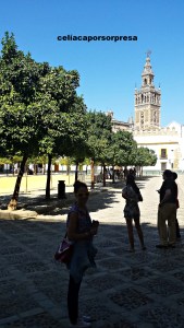 giralda-sevilla