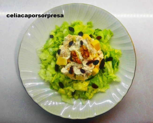 ensalada-de-pollo-con-manzana-desde-arriba