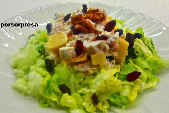 ensalada-de-pollo-con-manzana