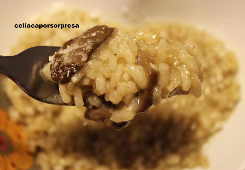 risotto-de-trufa-desde-arriba