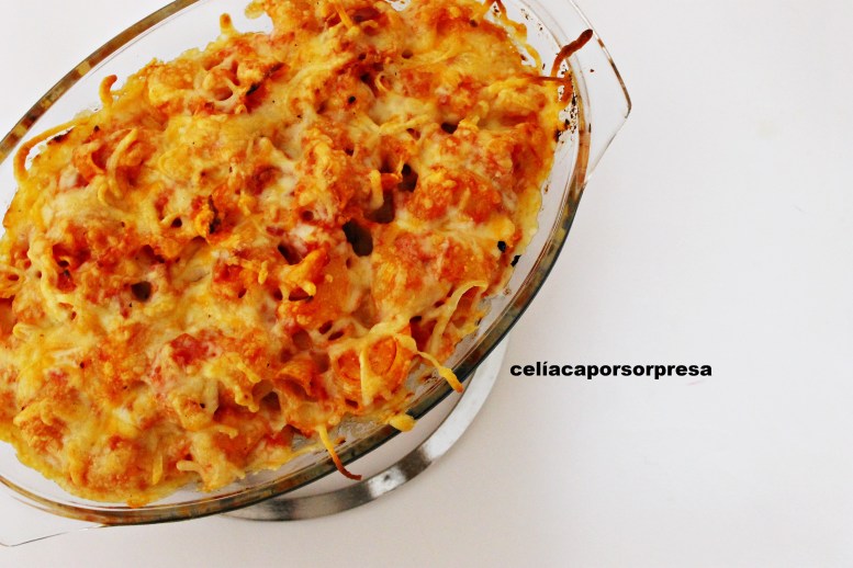 tiburones-gratinados-desde-arriba