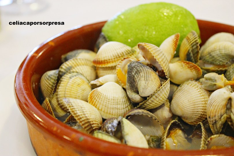 berberechos-el-gallego