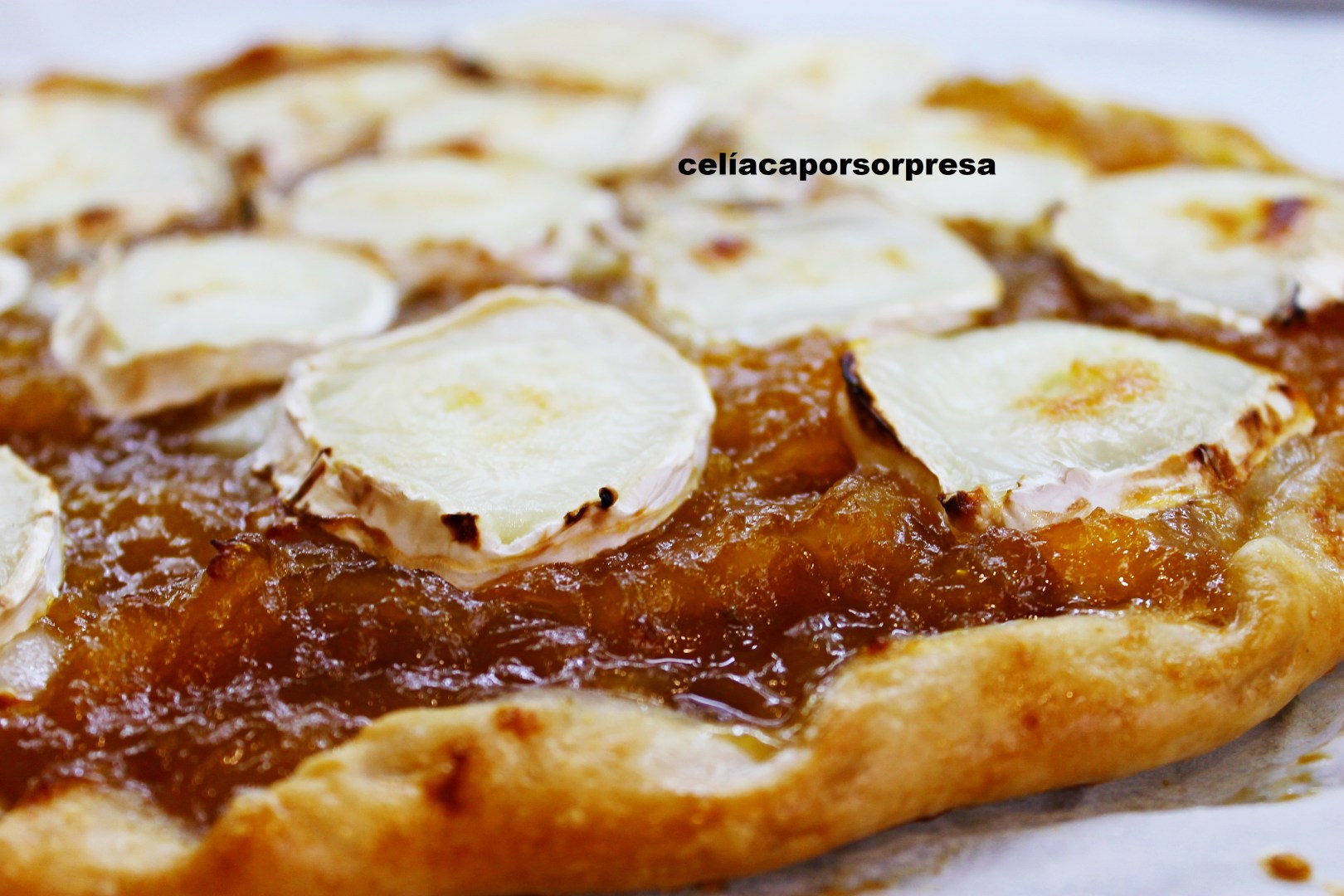 hojaldre-de-cebolla-y-calabaza-con-queso-rulo-de-cabra-de-cerca