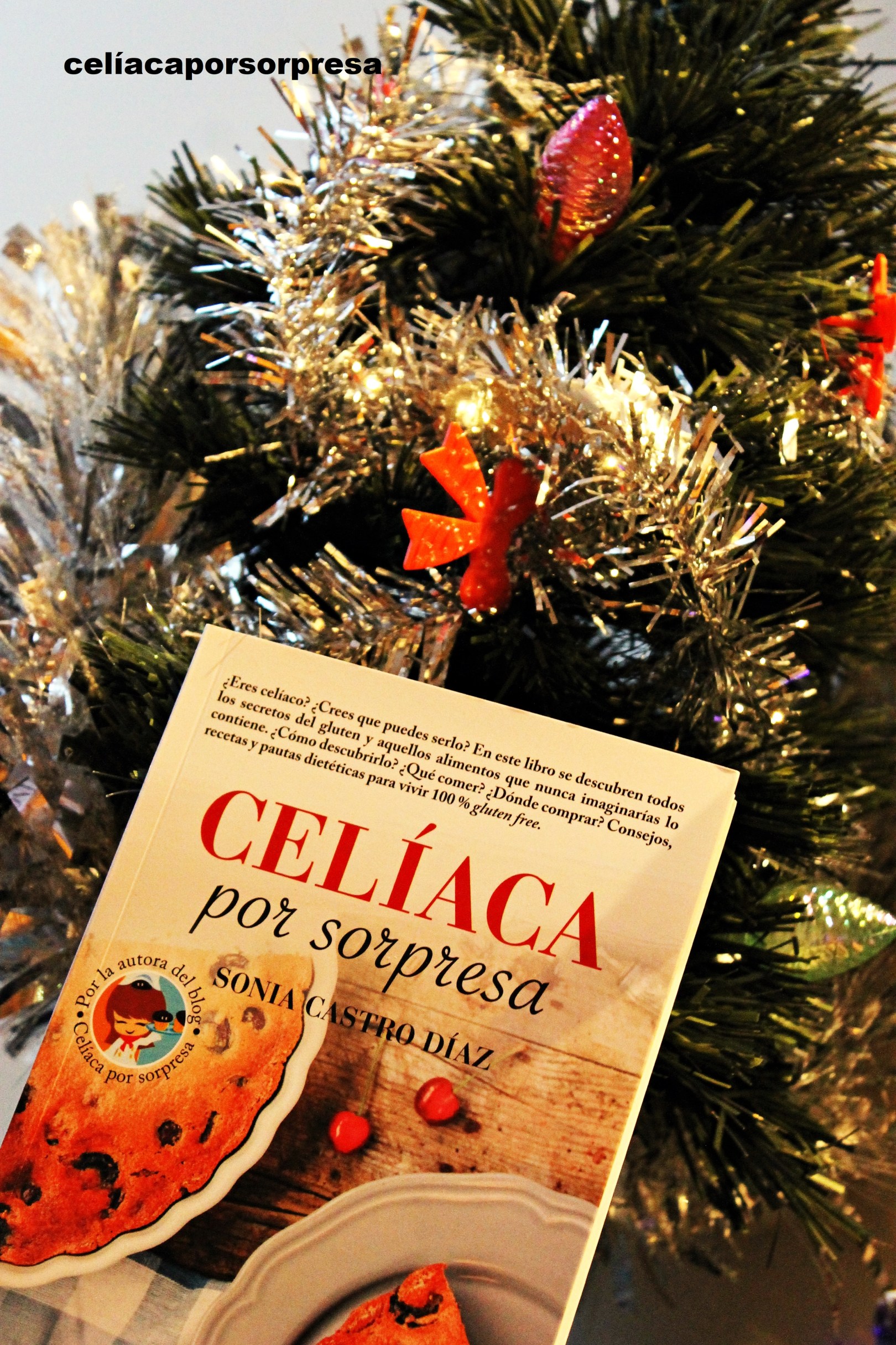 sorteo-libro-aniversario-navidad