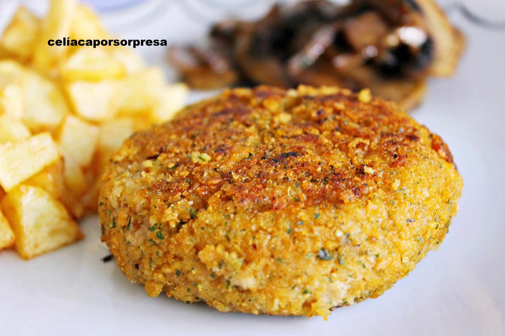 hamburguesa-de-atun2