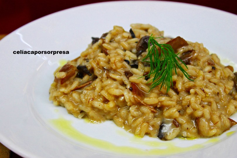 risotto-setas-kint