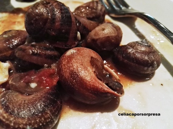 caracoles-de-cerca-floren