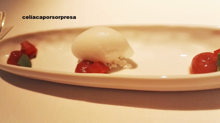 ruibarbo-sorbete-clos