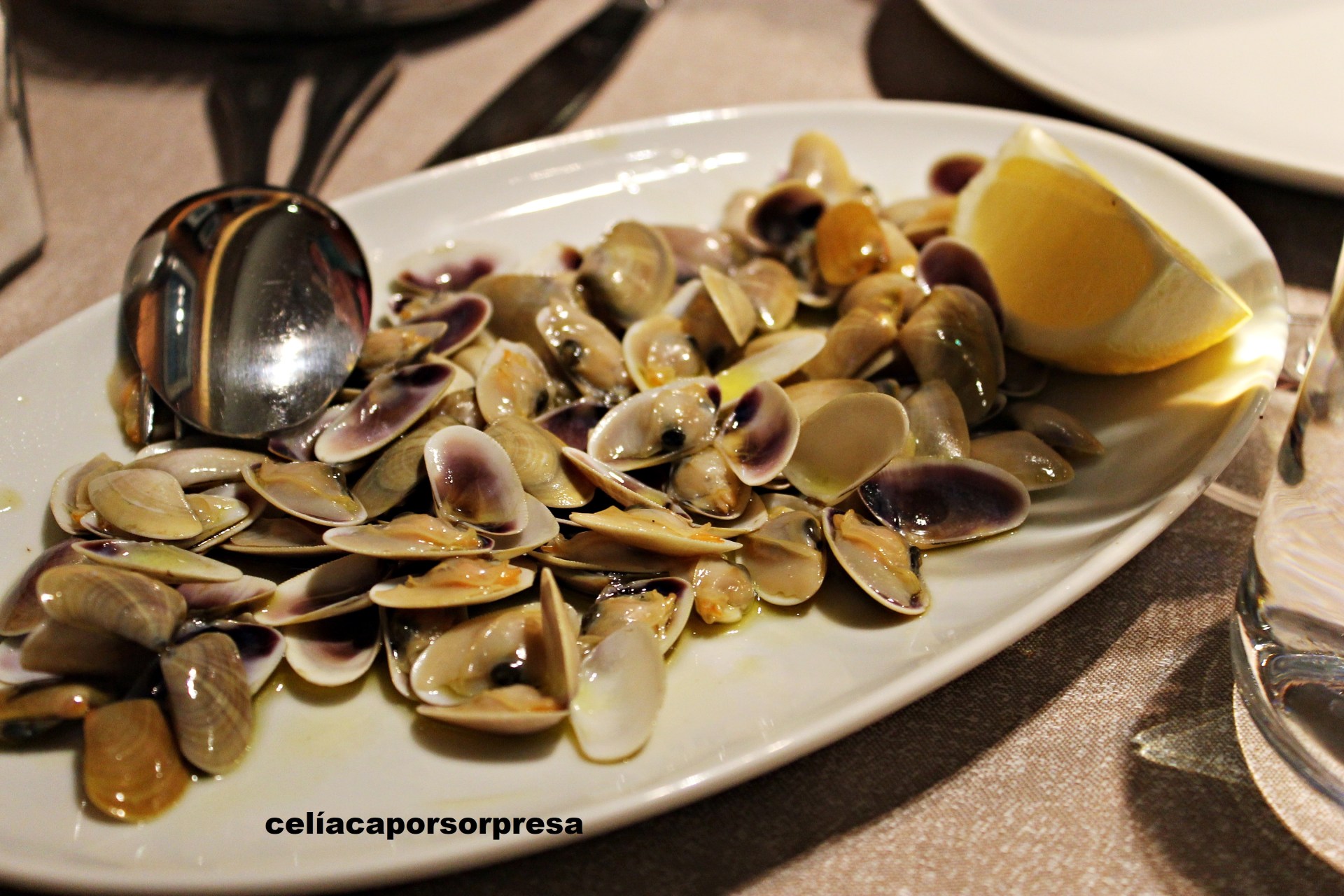 coquinas-casa-nemesio