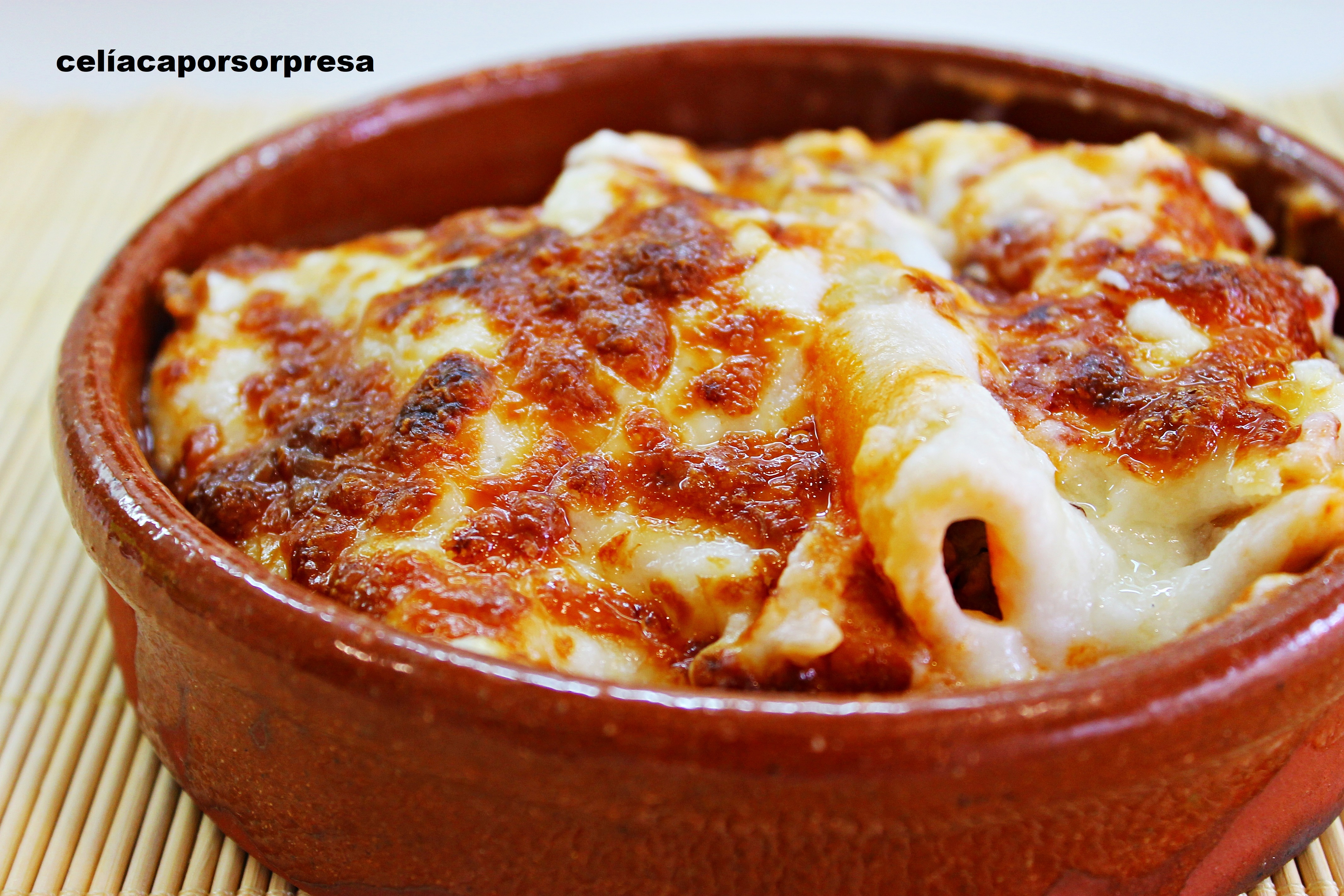 La imagen tiene un atributo ALT vacío; su nombre de archivo es canelones-de-carne2.jpg