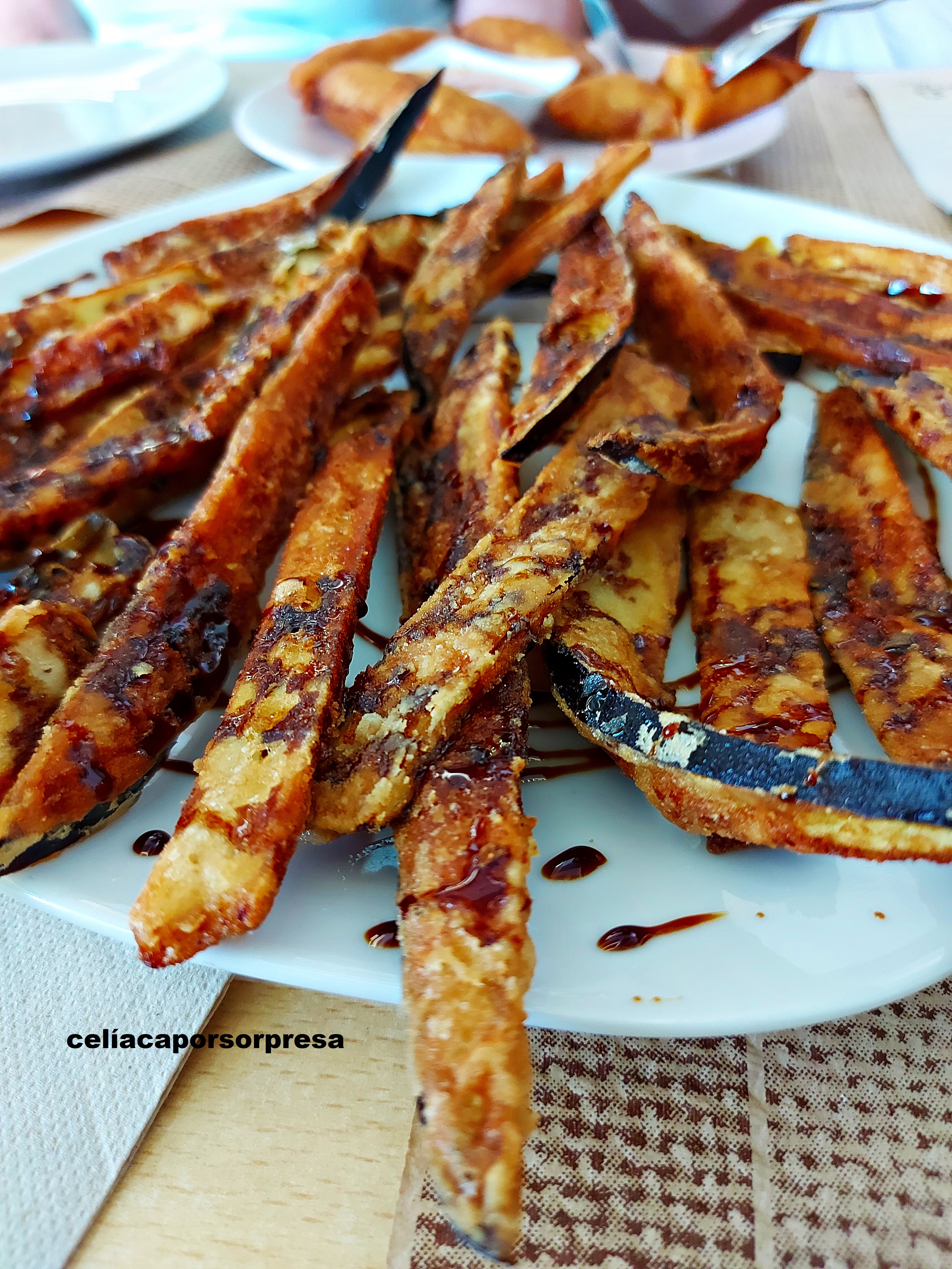 berenjenas2-nicontrigonisinti