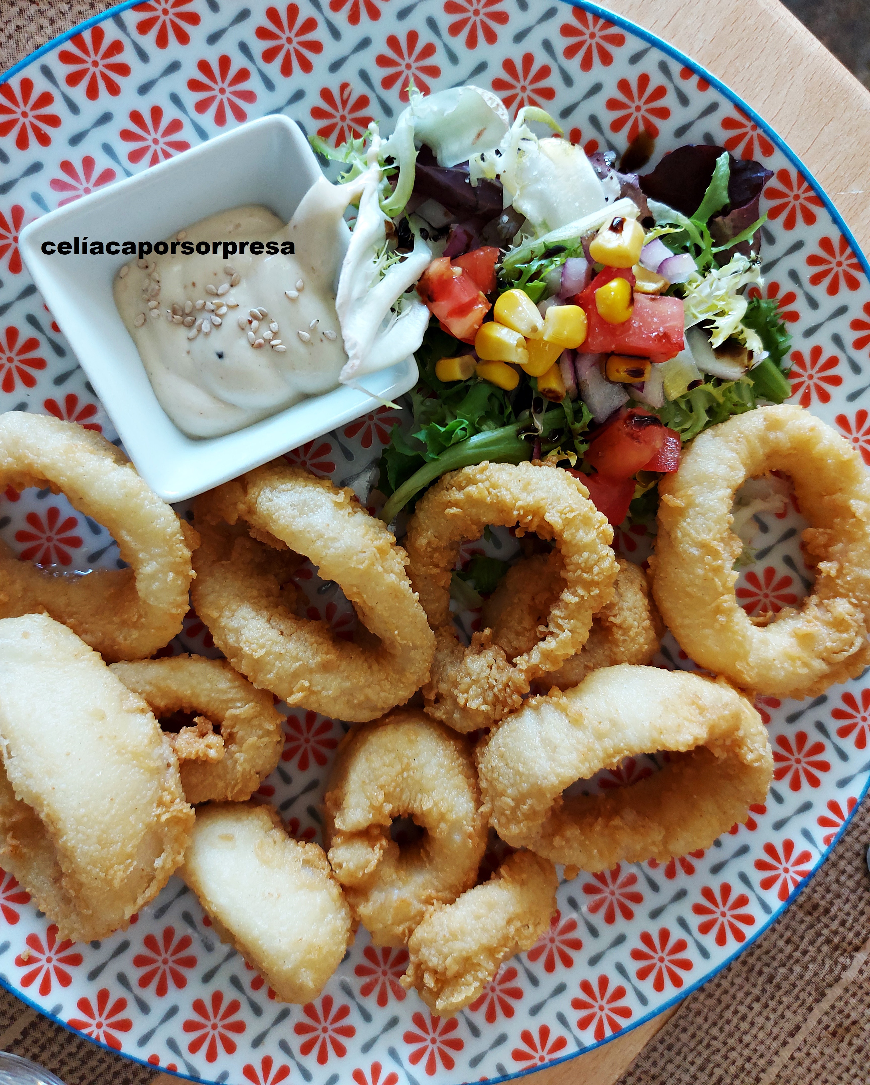 calamares-nicontrigonisinti