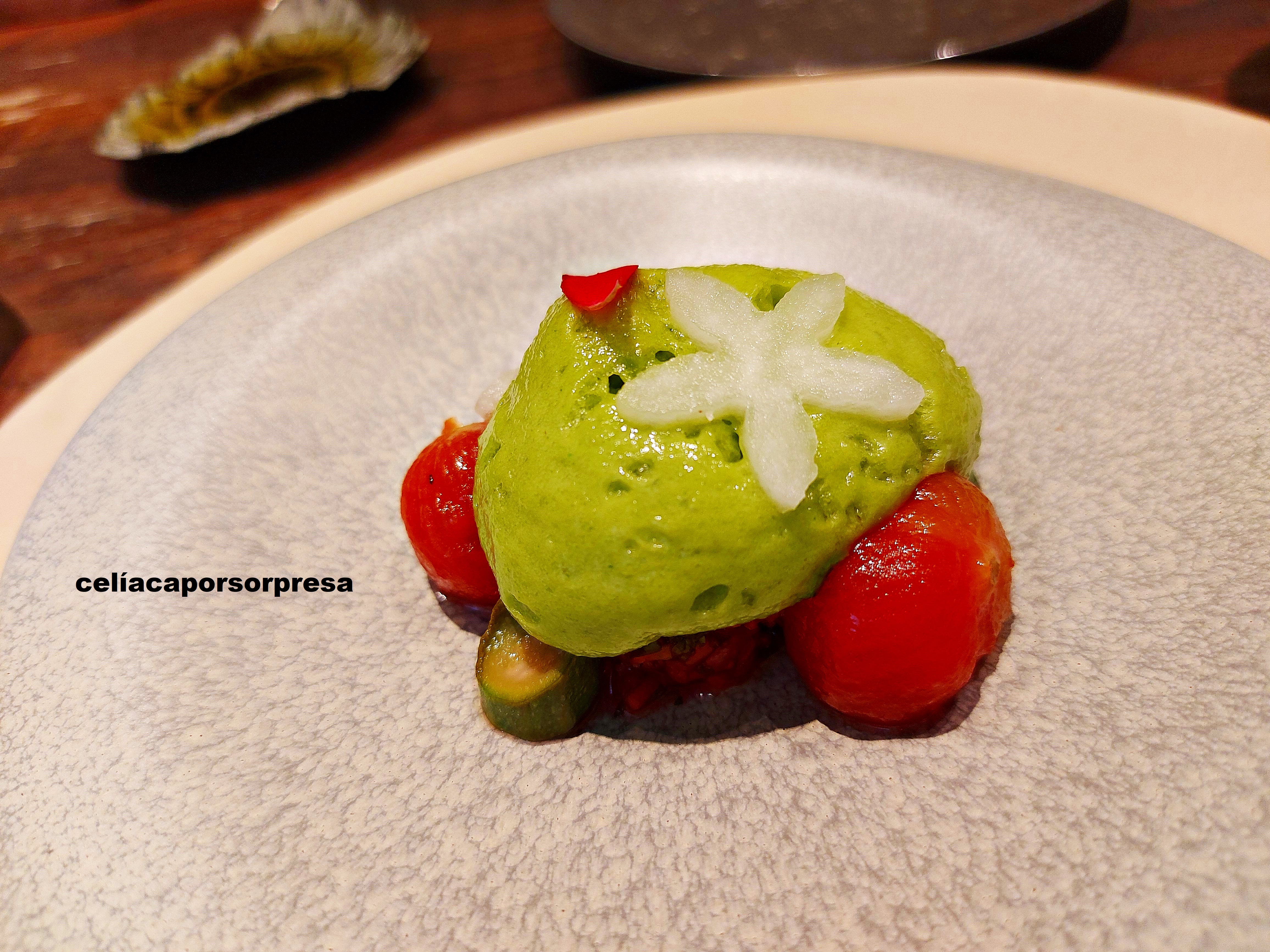 ceviche-verduras-invernadero