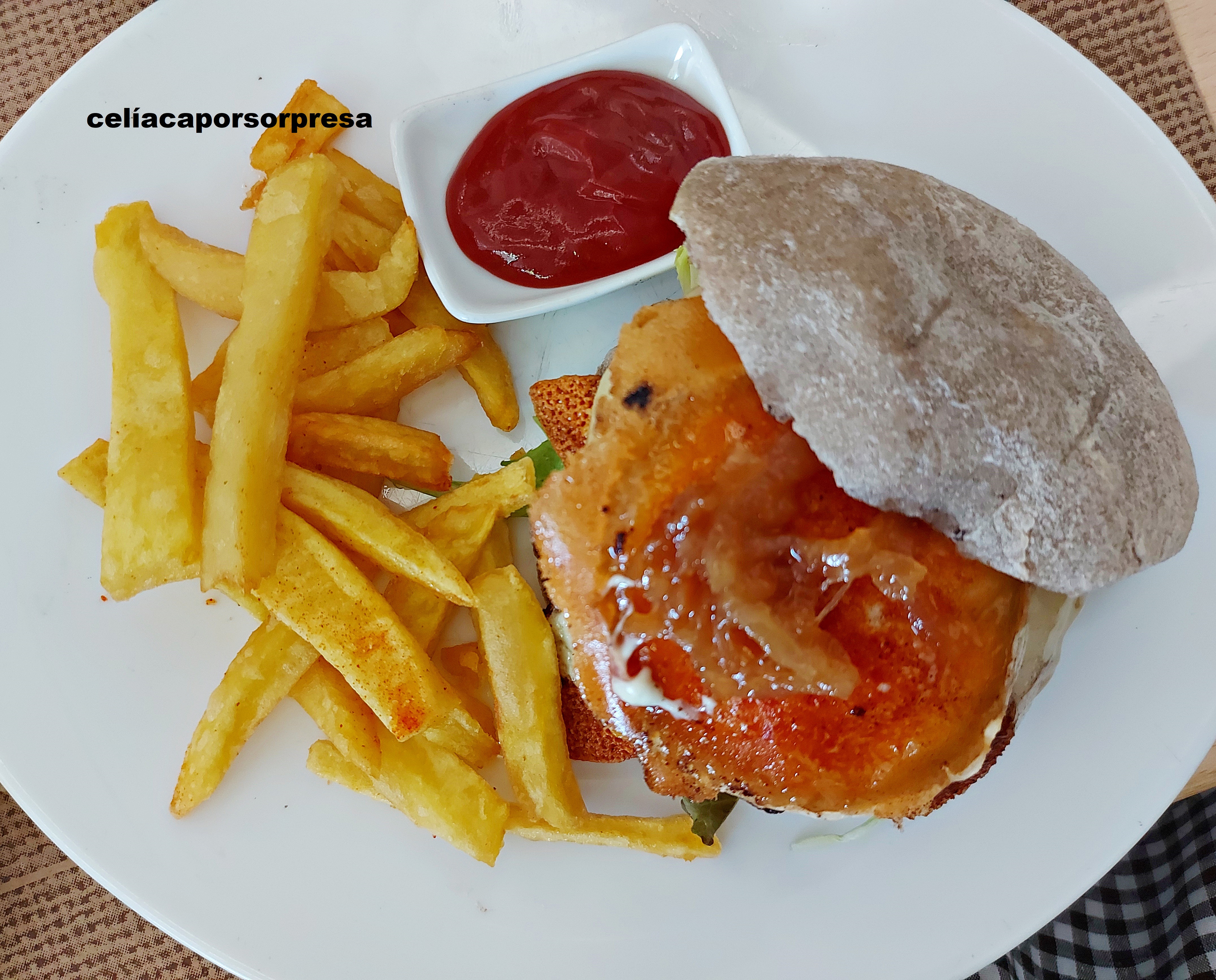 hamburguesa-nicontrigonisinti