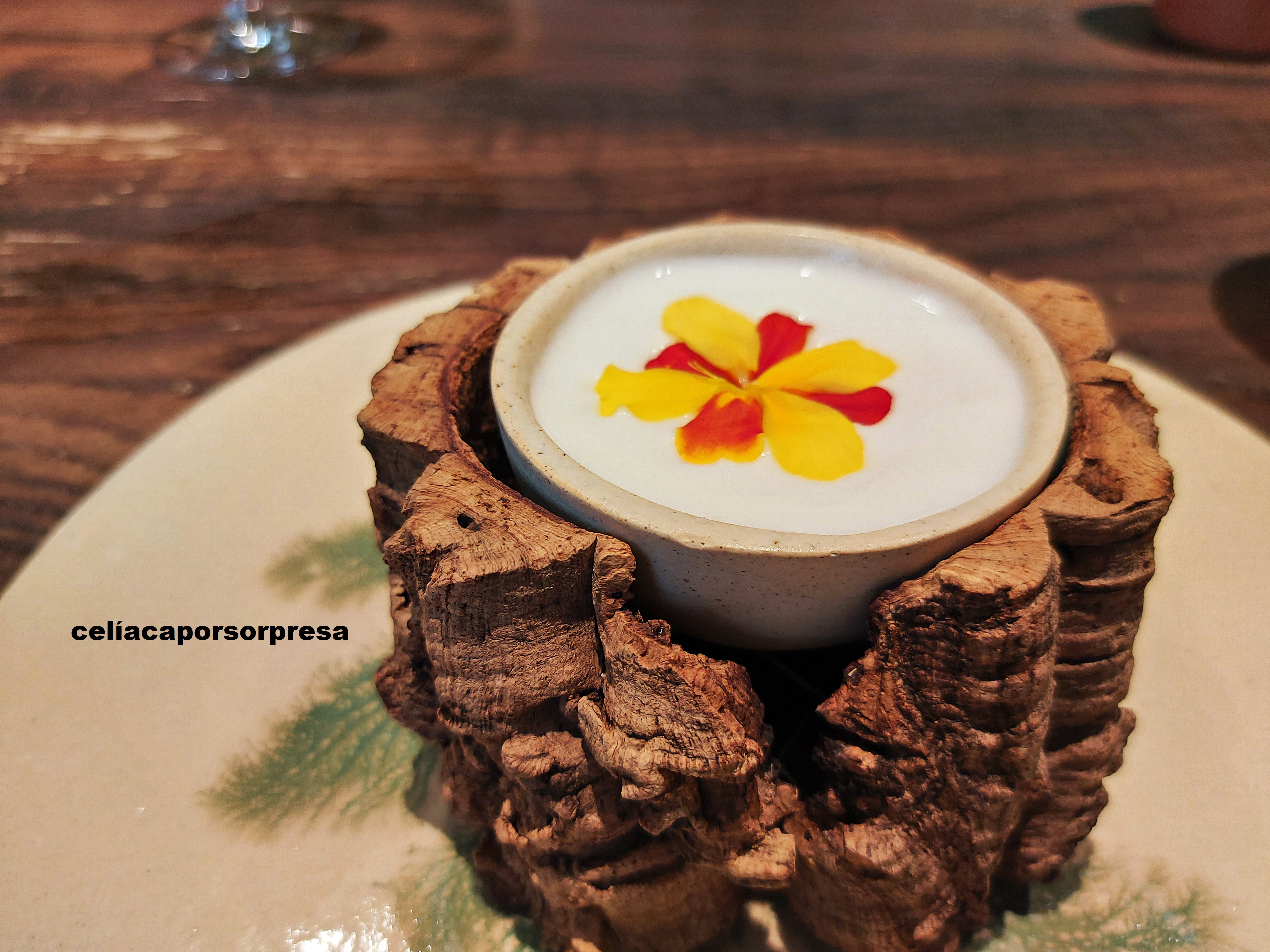 mousse-de-melon-invernadero