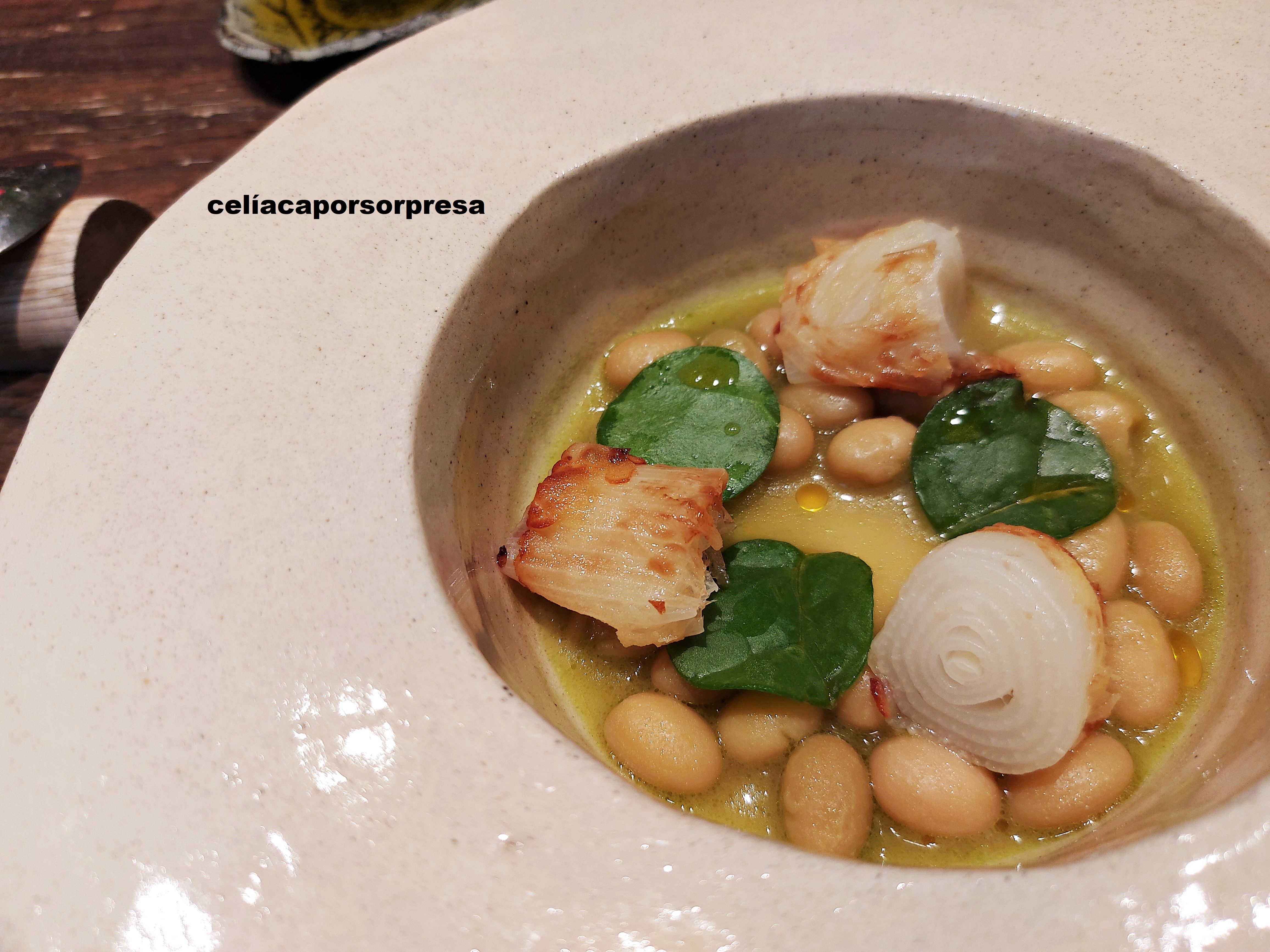 pochas-blancas-con-cebolla-s-tiernas-invernadero