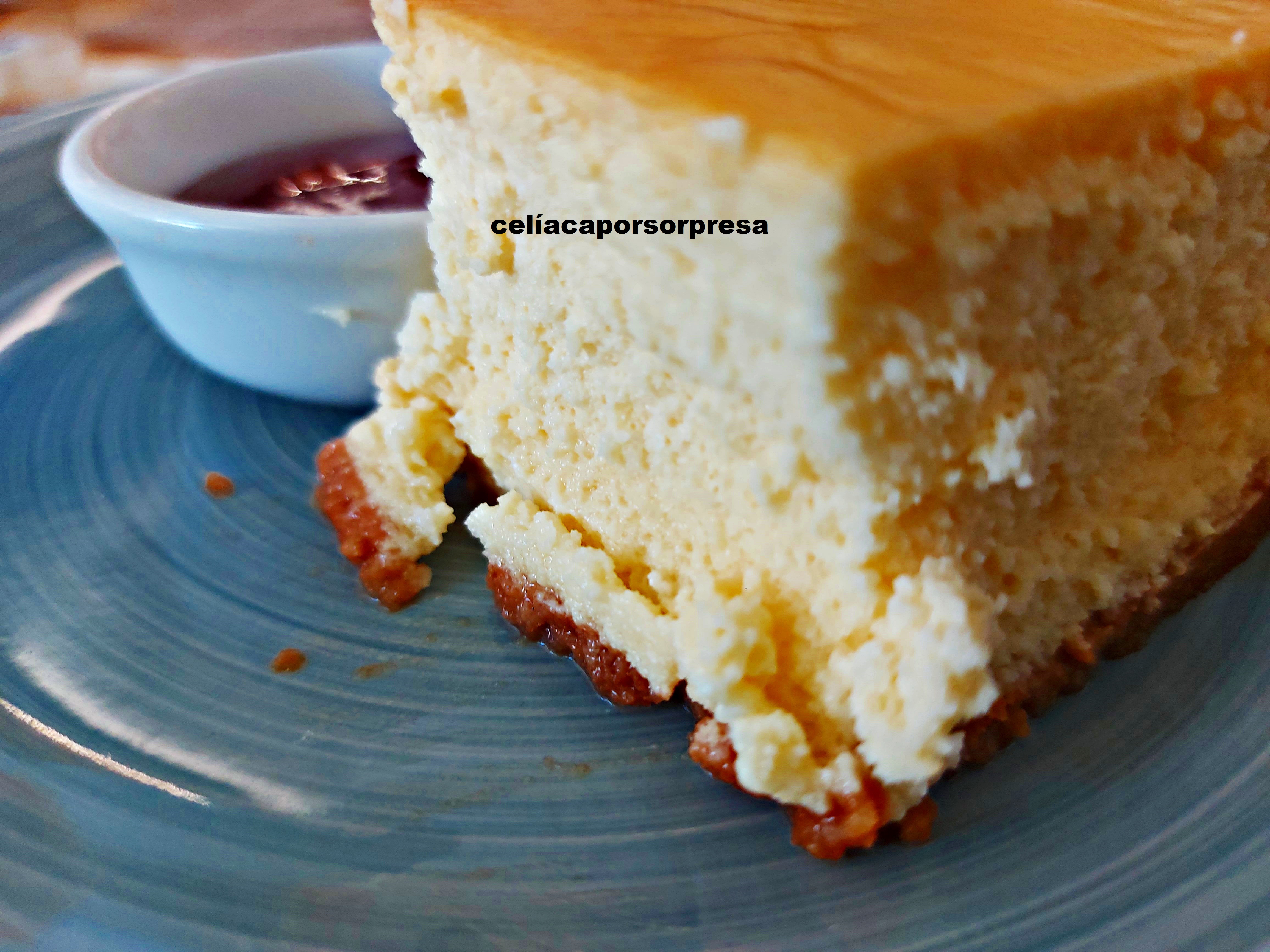 tarta-de-queso-nicontrigonisinti