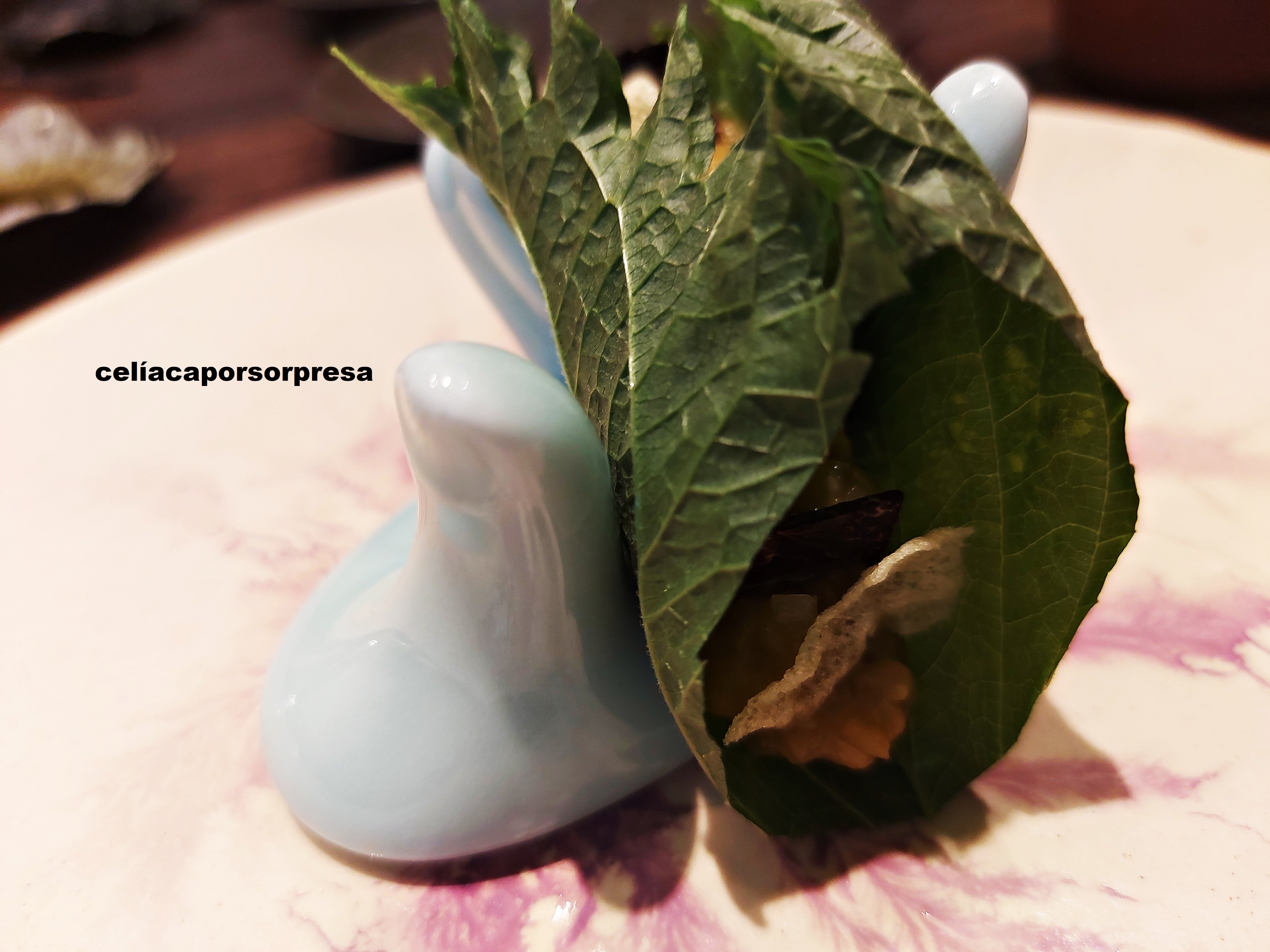 tartar-remolacha-invernadero