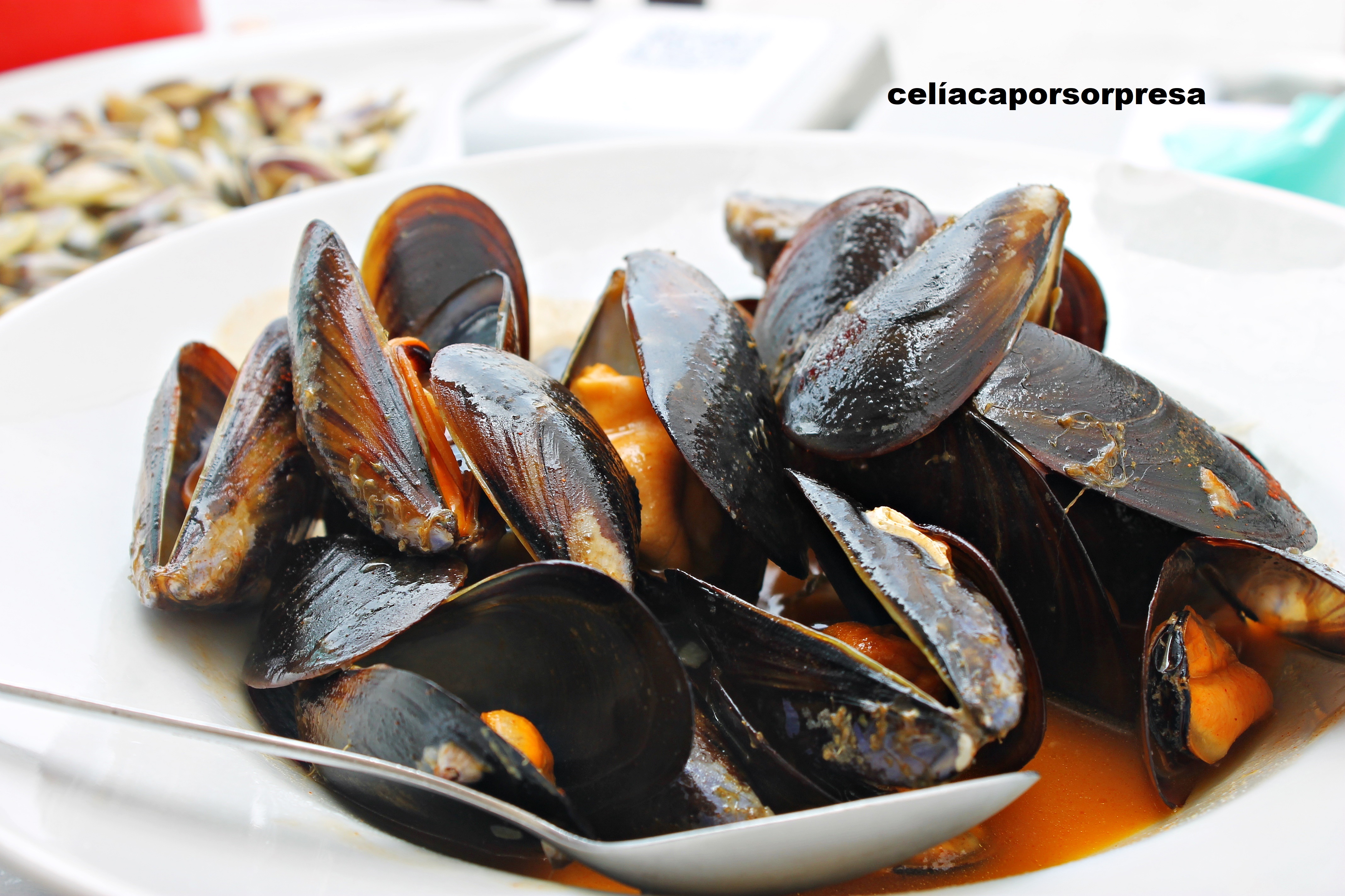 mejillones-lapepa
