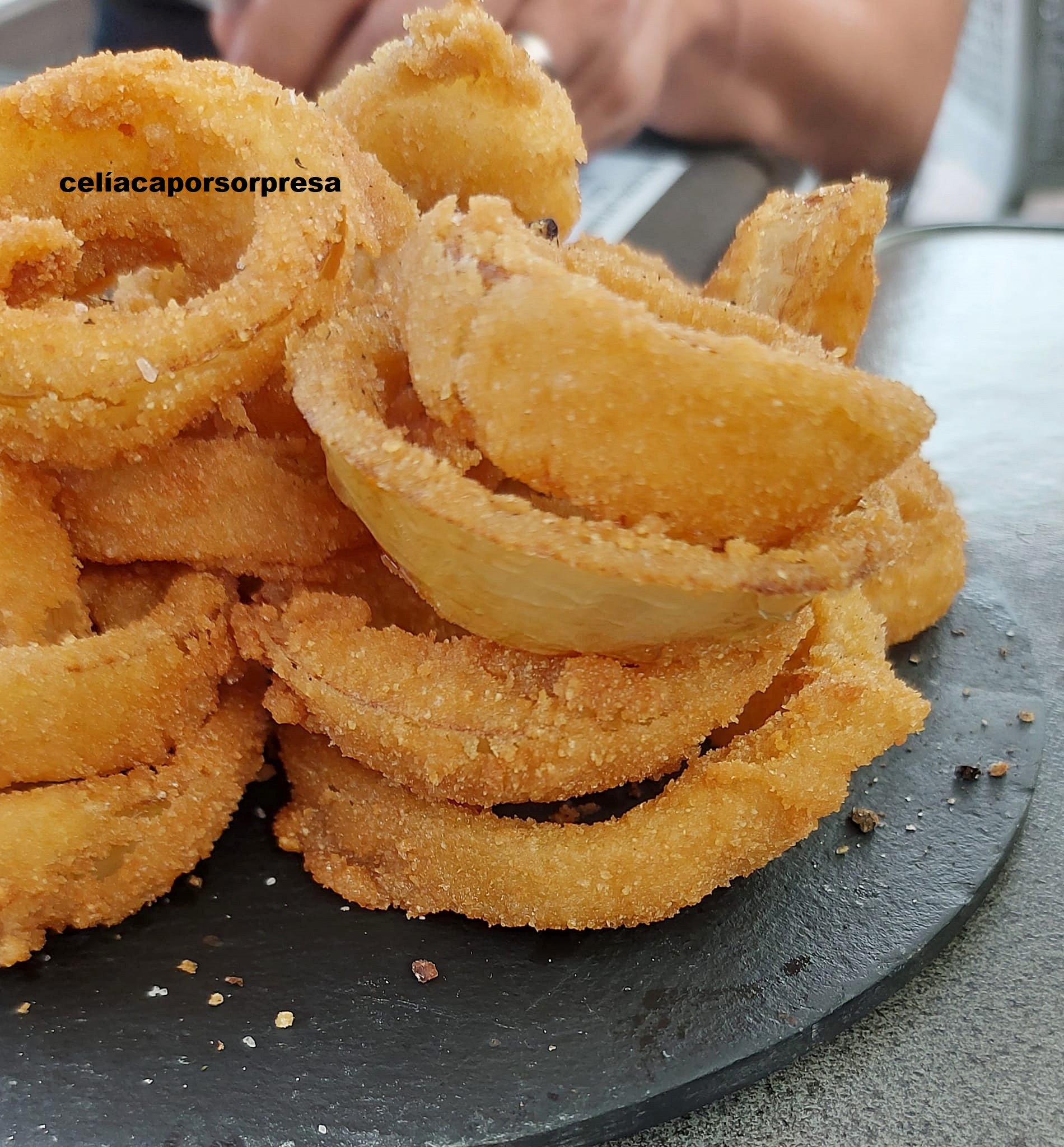 aros-de-cebolla-kaktus